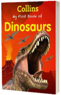 Collins My First Book Of Dinosaurs