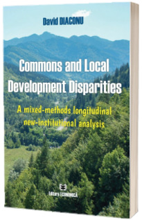 Commons and Local Development Disparities