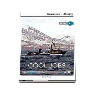 Cool Jobs Beginning Book with Online Access - David Maule