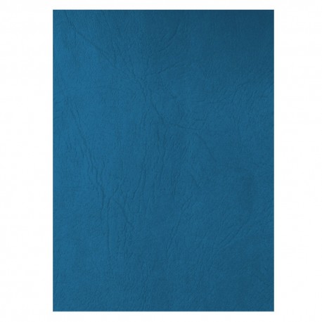 Coperta carton imitatie piele set 100, Ecada A