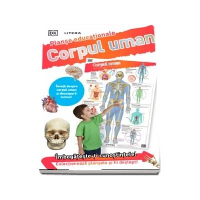 Corpul uman. Planse educationale