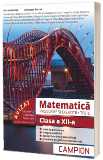 Culegere de matematica, clasa a XII-a. Probleme si exercitii, teste - Profilul tehnic. Semestrul II