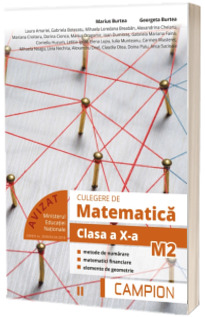 Culegere de matematica pentru clasa a X-a, profil M2 - Semestrul II
