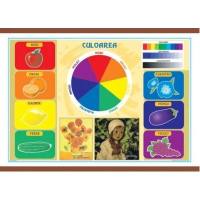 Culoarea - Materiale plastice. Plansa murala