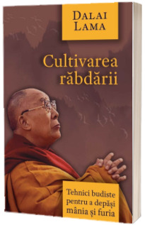 Cultivarea rabdarii - Tehnici budiste pentru a depasi mania si furia