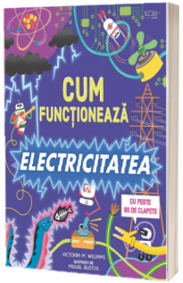 Cum functioneaza electricitatea (Usborne)