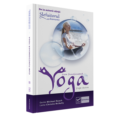 Cum functioneaza Yoga - Geshe Michael Roach