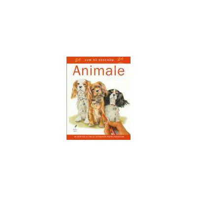 Cum sa desenam animale