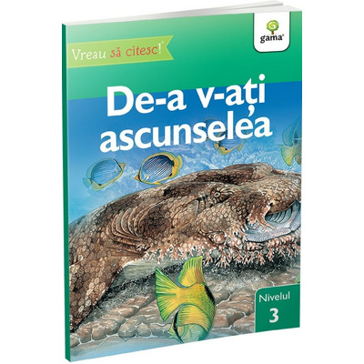 De-a v-ati ascunselea, nivelul 3