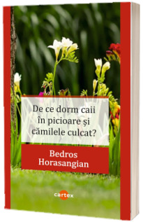 De ce dorm caii in picioare si camilele culcat?