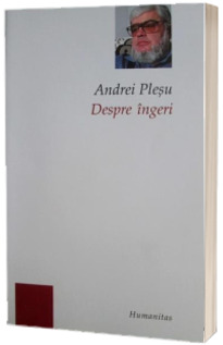 Despre ingeri