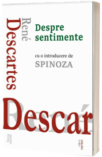 Despre sentimente