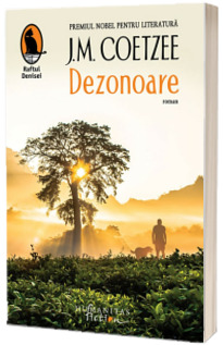 Dezonoare