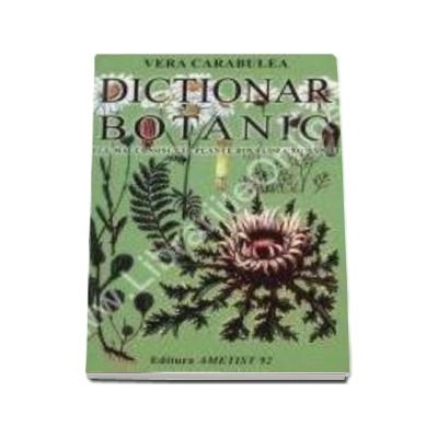 Dictionar Botanic. Cele mai cunoscute plante din flora Romaniei