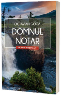 Domnul Notar