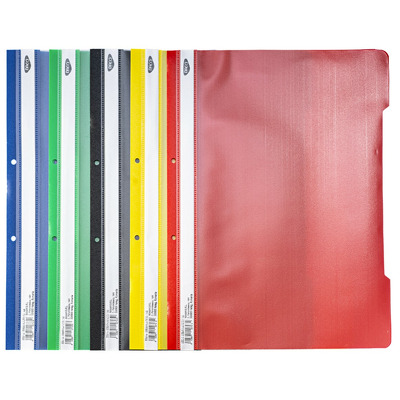 Dosar plastic cu sina, set 50 culori asortate