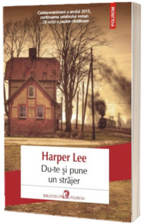 Du-te si pune un strajer