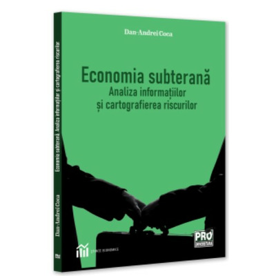 Economia subterana: analiza informatiilor si cartografierea riscurilor