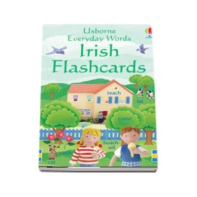 Everyday Words Irish flashcards