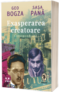 Exasperarea creatoare. Corespondenta