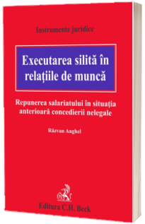 Executarea silita in relatiile de munca. Repunerea salariatului in situatia anterioara concedierii nelegale