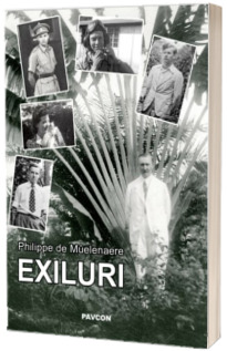 Exiluri