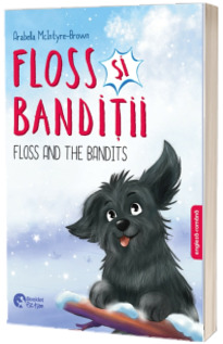 Floss si banditii