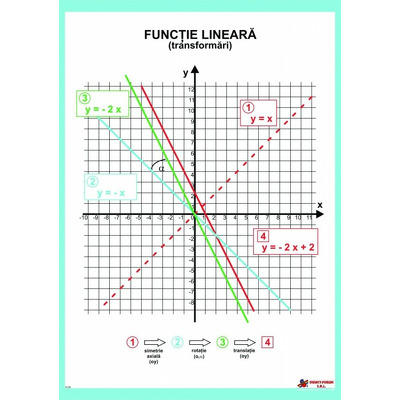 Functia lineara