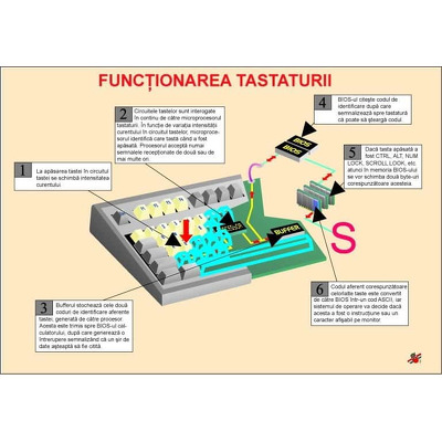 Functionarea tastaturii