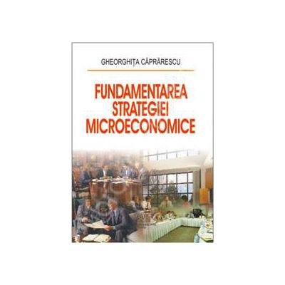 Fundamentarea strategiei microeconomice