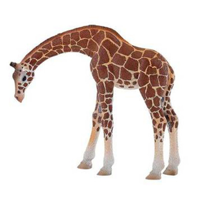 Girafa