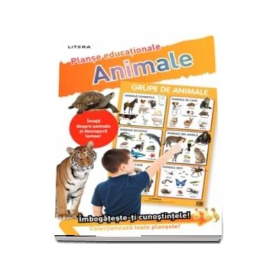 Grupe de animale. Planse educationale