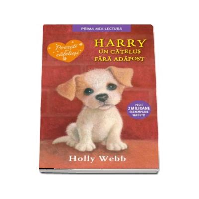 Harry, un catelus fara adapost - Holly Webb