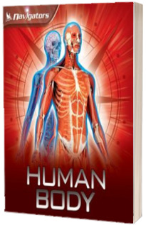 Human body
