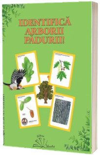 Identifica arborii padurii!