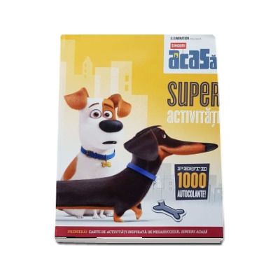 Illumination prezinta Singuri acasa - Superactivitati, peste 1000 de autocolante!