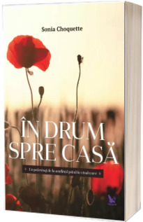 In drum spre casa. Un pelerinaj de la umilinta pana la vindecare - Sonia Choquette