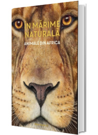 In marime naturala