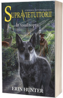 In toiul noptii