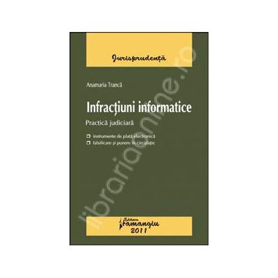 Infractiuni informatice. Practica judiciara