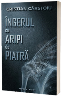Ingerul cu aripi de piatra