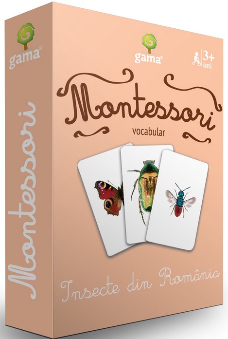 Insecte din Romania - Montessori vocabular
