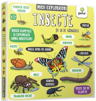 Insecte si alte ganganii - Micii exploratori