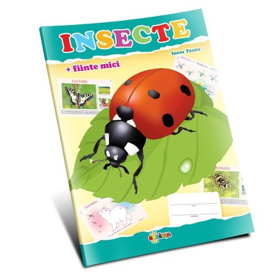 Insecte si fiinte mici - Inesa Tautu (Mapa)