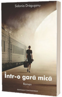 Intr-o gara mica