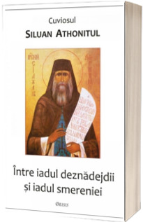 Intre iadul deznadejdii si iadul smereniei. Insemnari duhovnicesti - Editia a IV-a