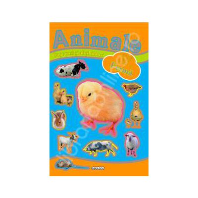 Jocuri si abtibilduri cu animale - Ferma