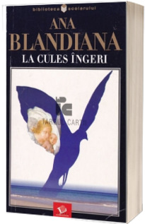 La cules de ingeri La cules de ingeri