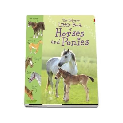 Little book of horses and ponies