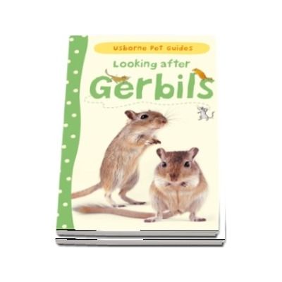 Looking after gerbils
